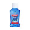 Colgate Plax x 100ml (Ice)