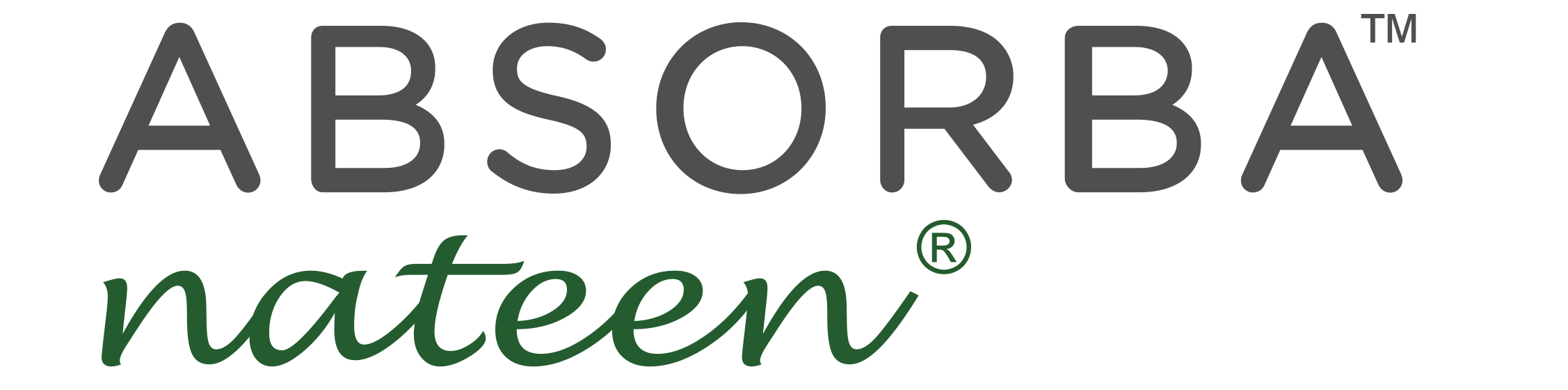 ABSORBA-NATEEN2